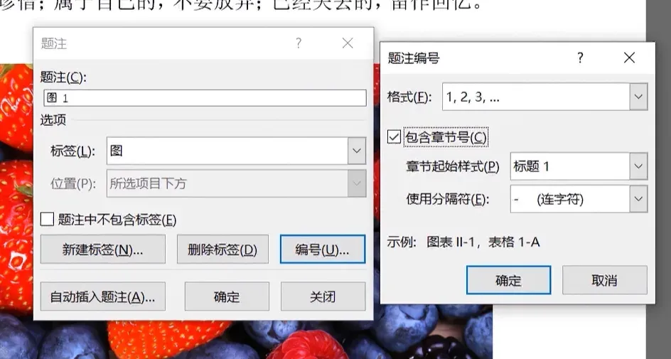 编号设置