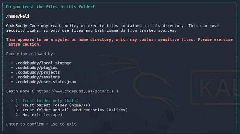 Kali 中的 CodeBuddy 安全提示